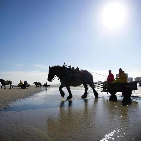 아파트 Near & Marina *