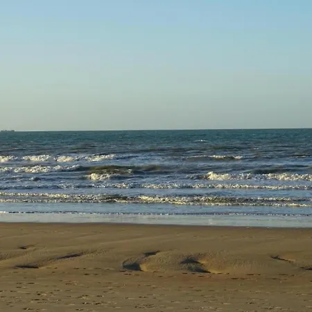 Near & Marina 니우포르트