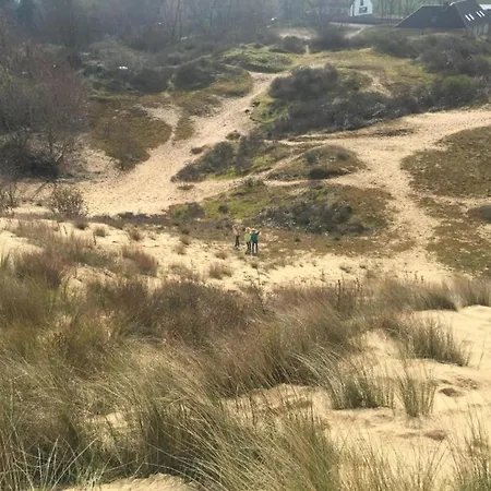 Near & Marina * 니우포르트