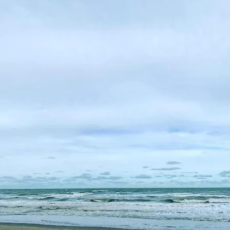 Near & Marina * 니우포르트